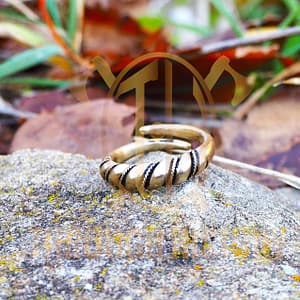 Bague Entrelasée